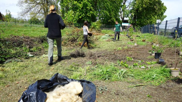 Naturerlebnisgarten Söllingen der Bürgerstiftung Ostfalen - Community-Pflanzaktion